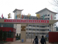 南部東壩中學(xué)2023年招生錄取分?jǐn)?shù)線