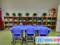 徐州愛爾國際學(xué)校初中部2023年招生計劃