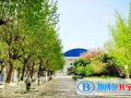 浙江東陽(yáng)中天高級(jí)中學(xué)國(guó)際部2023年招生計(jì)劃