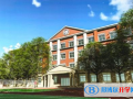北京新橋外國語學校2023年招生計劃