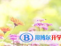 2021年宜賓中考查詢系統
