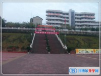 蒼溪實驗中學2025年學費、收費多少