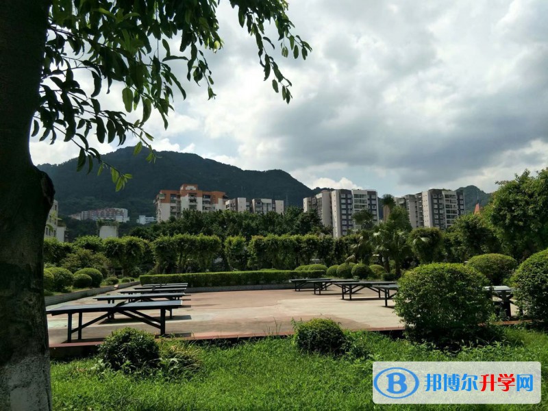 重慶市木洞中學2021年報名條件、招生要求、招生對象 