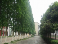 眉山市東坡區(qū)多悅高級中學2025年排名