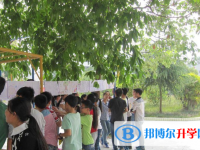 樂至縣石湍中學網站網址主頁