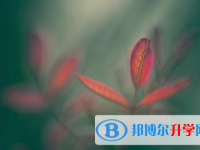 2021年延安中考網(wǎng)報(bào)
