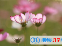 2021年延安中考網(wǎng)上報(bào)名