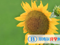 2021年延安中考網(wǎng)上報(bào)名系統(tǒng)