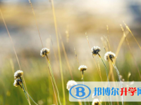 2021年延安中考網(wǎng)上模擬報(bào)名