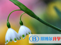 2021年安康中考報(bào)名