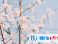 2021年安康今年中考時(shí)間是幾號(hào)