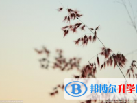 2021年安康中考報(bào)名網(wǎng)址