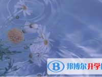 2021年安康中考報(bào)名網(wǎng)站是什么