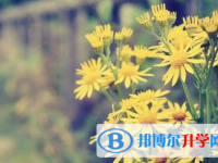 承德2021年中考報(bào)名需要帶什么