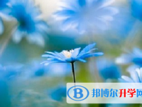 承德2021年中考網(wǎng)報(bào)