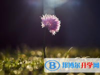 承德2021年中考網(wǎng)上報(bào)名模擬