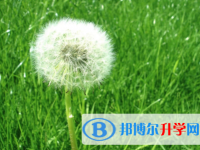 承德2021年中考報(bào)名