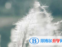 攀枝花2021年中考沒(méi)有考上怎么辦