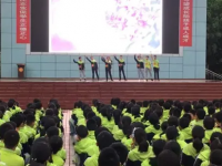 遂寧市三家中學(xué)2023年招生錄取分數(shù)線
