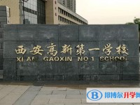 西安高新一高、西咸新區(qū)空港實驗高級中學錄取分數線(2023年參考)