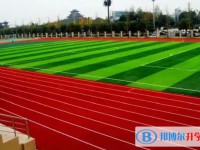 大彎中學地址，乘車路線
