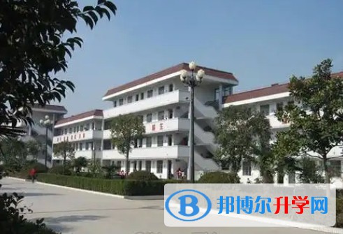 2025青白江區(qū)為明學(xué)校招生計(jì)劃 招生人數(shù)是多少(附要求、條件、對(duì)象)