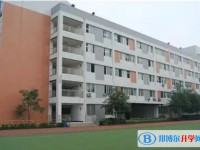 2025石橋中學招生計劃 招生人數是多少(附要求、條件、對象)