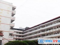 2025三星中學招生計劃 招生人數是多少(附要求、條件、對象)
