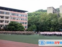 2025簡陽實驗中學招生計劃 招生人數是多少(附要求、條件、對象)