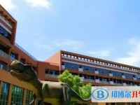 自貢市大安區嘉祥外國語學校怎么樣、好不好