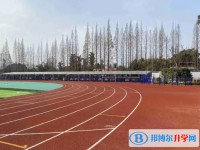 2025自貢德銘中學招生計劃 招生人數是多少(附要求、條件、對象)