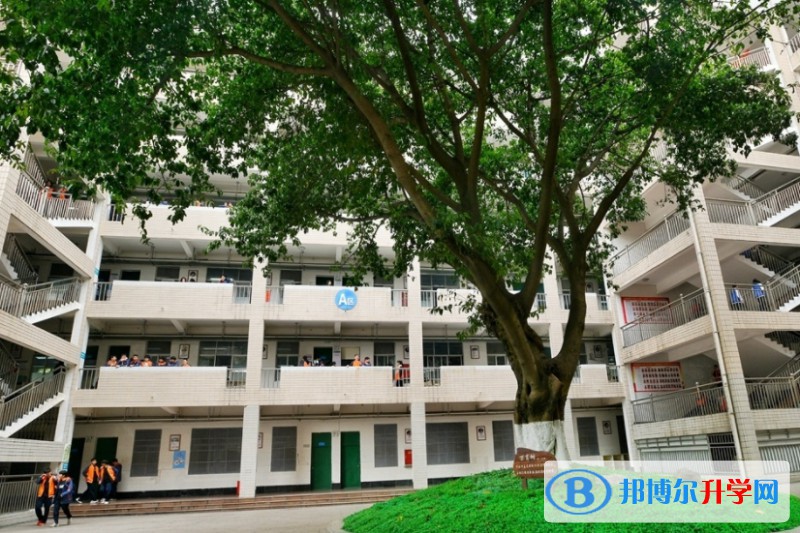 四川省綿陽普明中學怎么樣、好不好