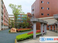 2025綿陽市實驗中學招生計劃 招生人數是多少(附要求、條件、對象)