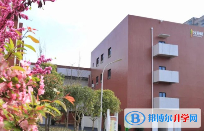 2025綿陽市豐谷中學招生計劃 招生人數是多少(附要求、條件、對象)