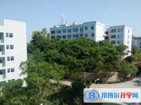 四川省梓潼中學(xué)校招生簡(jiǎn)章2025年