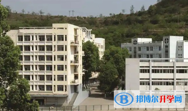 2025廣元市中學招生計劃 招生人數是多少(附要求、條件、對象)