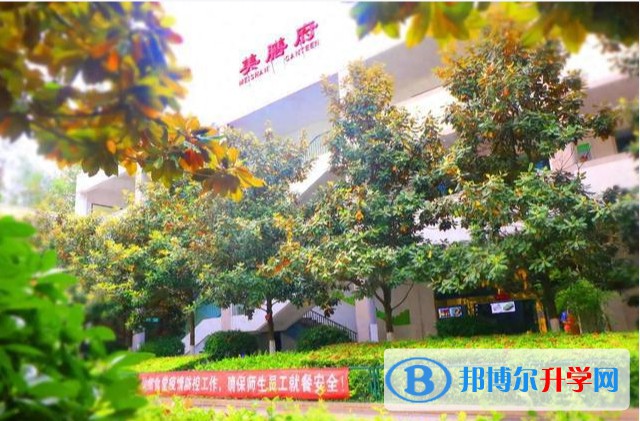 2025四川省廣元外國(guó)語學(xué)校招生計(jì)劃 招生人數(shù)是多少(附要求、條件、對(duì)象)