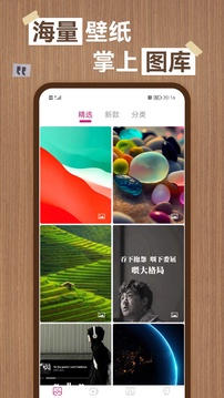 koko官網下載截圖
